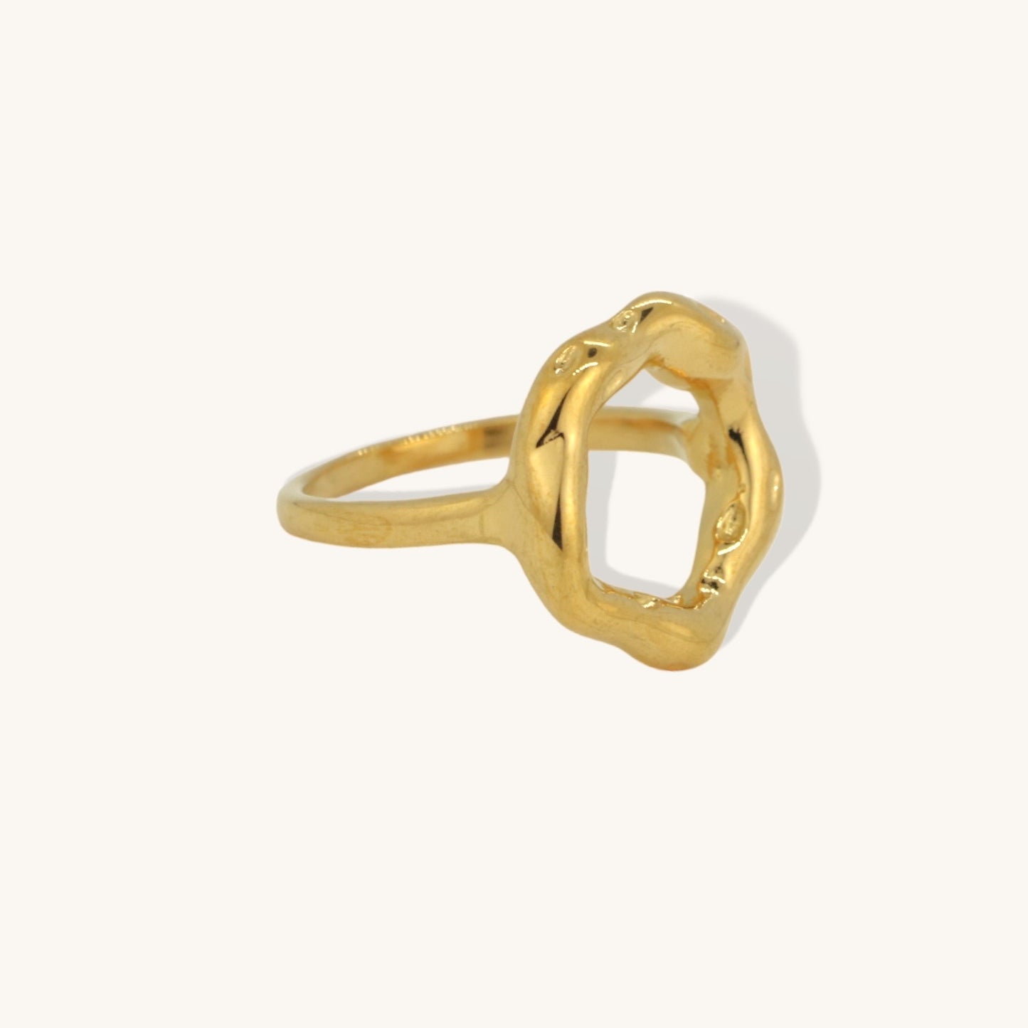 Nina Ring